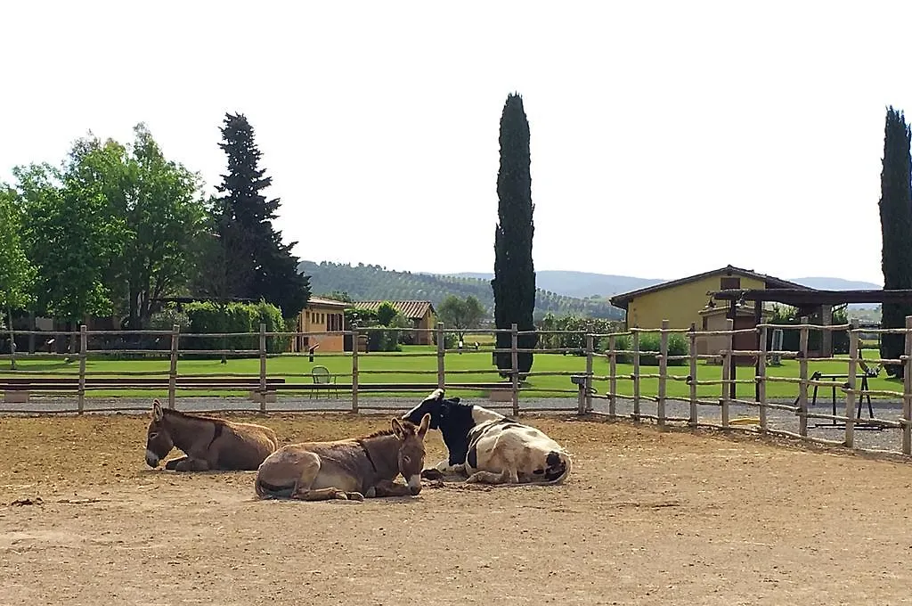 Agriturismo Giuncola & Granaiolo Rispescia Italien